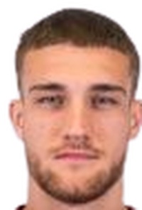 Daniel Birligea
